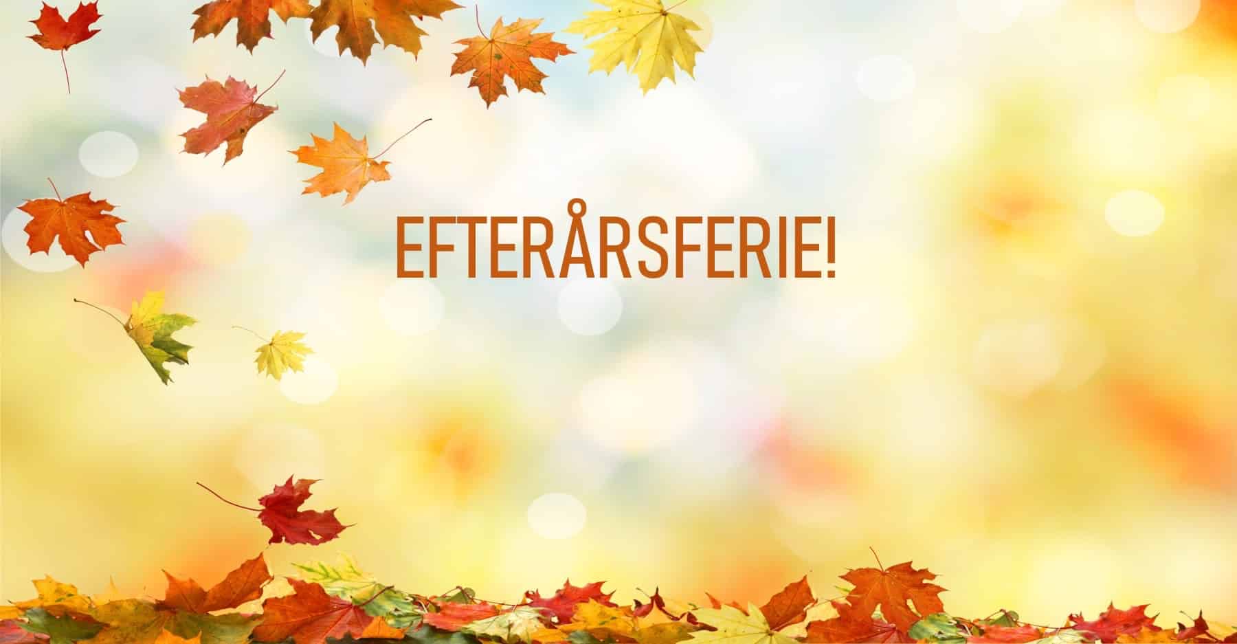 Arbejds efterårsferie i år